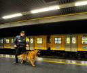 la stazione della metropolitana di quattro giornate