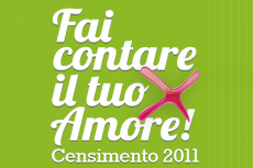 censimento 2011: